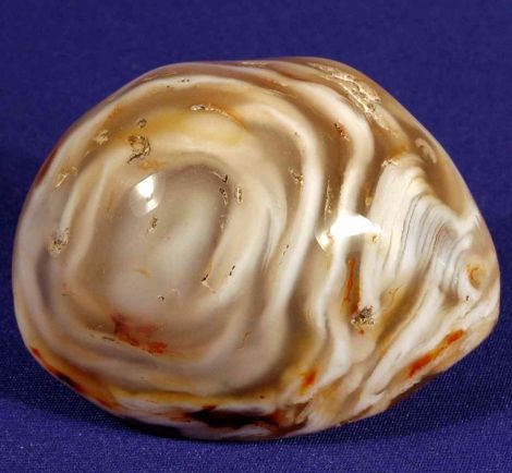 Agate enhydre
