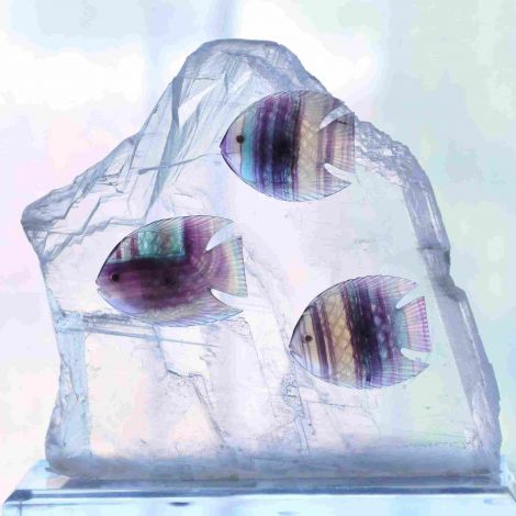 Poissons en fluorite